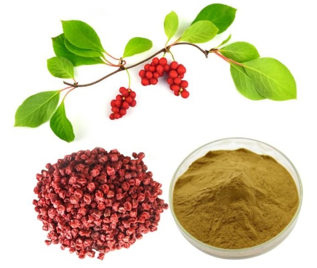 五味子提取物 传统中药现代应用的璀璨明珠