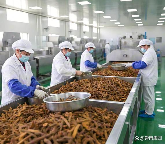 黄精提取物在中药制剂中的多元化应用