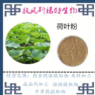 荷叶健康，自然之选 深度解析荷叶粉、荷叶提取物、固体饮料与袋泡茶的代加工之道