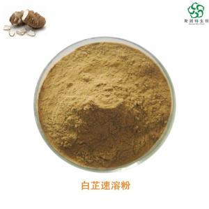 中药细粉的智慧 初探白芷粉与白芷原粉的提取奥妙