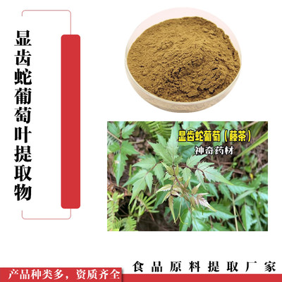 显齿蛇葡萄叶提取物的药用价值与科学解读