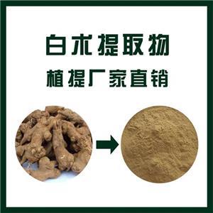 白术提取物的功效与应用前景展望