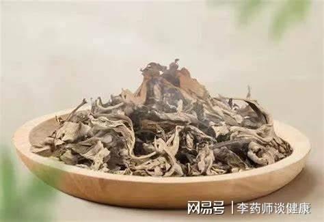 艾叶助力中老年健康 消除老化细胞只需48小时